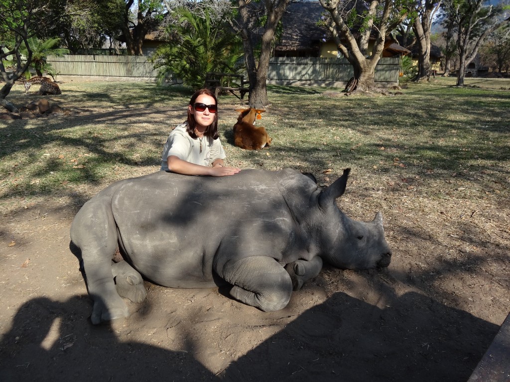 Jak-karmiłam-300-kg-nosorożca-4-Medium.jpg